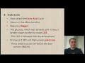 Cellular Respiration Concepts
