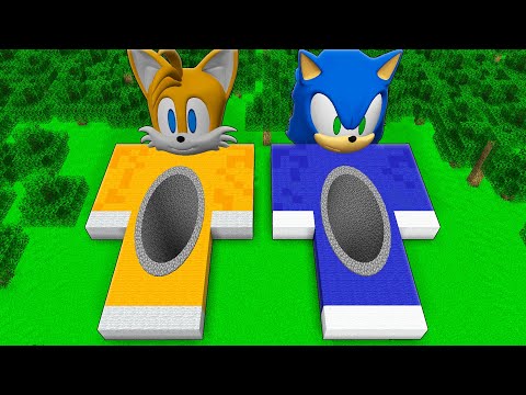 I found a SONIC TAILS PIT in Minecraft ! What's INSIDE the BIGGEST SONIC vs MILES PIT ?