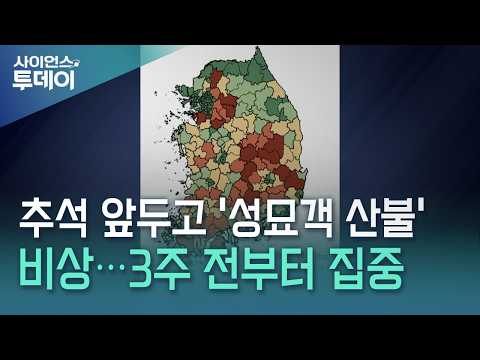 추석 앞두고 '성묘객 산불' 비상...3주 전부터 집중 / YTN 사이언스