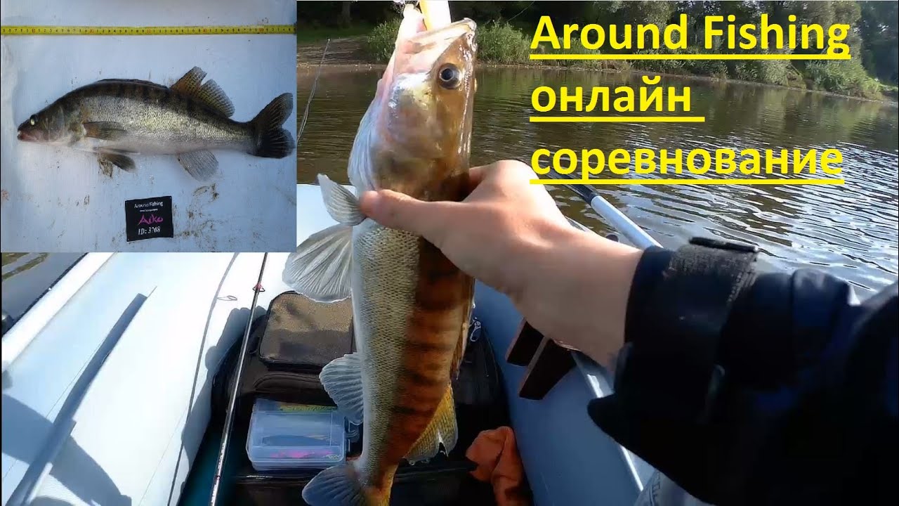 Around Fishing - Он-лайн турнир по рыбной ловле