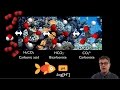 Understanding Ocean Acidification