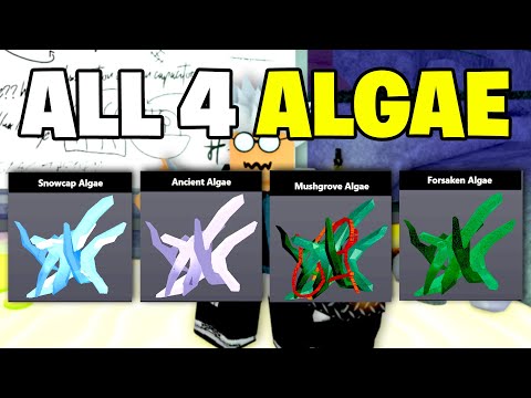 Roblox Fisch - HOW TO GET ALL 4 ALGAE LOCATIONS (Full Guide)