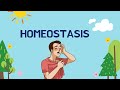 Understanding Homeostasis