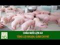Sustainable Pig Farming in the 4.0 Era