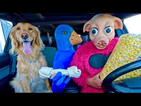 Pig SAVES Puppy From Blue Rubber Ducky In Car Ride Chase