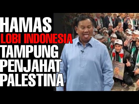 Cak menyala wi..‼️ H4m4s Lobi Indonesia tampung p3nj4h4t palestina