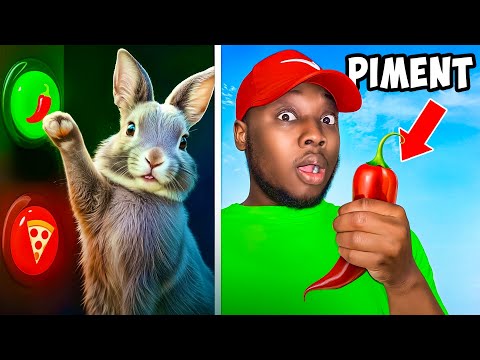 MON LAPIN CONTRÔLE MA VIE PENDANT 24H