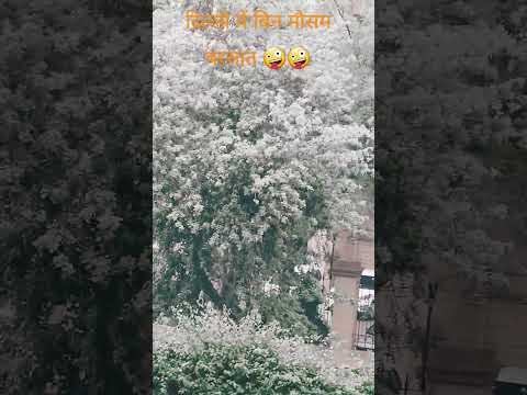 delhi में बिन मौसम बरसात🤪 #shortsfeed #youtubeshorts #shorts #viral