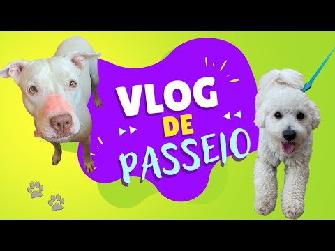 Vlog De Passeio Com A Fawkes Pitbull #vlog #pitbull #cachorro