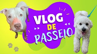 Vlog De Passeio Com A Fawkes Pitbull #vlog #pitbull #cachorro