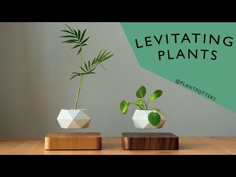 Левитирующий вазон FLYTE Planter, основа орех, фото 13