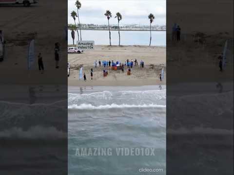 I Saved 1,000 Animals From Dying#daily #shorts#animals #reality