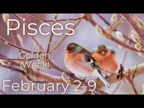 Pisces, Generational Blessing! // February 2-9 2025 Weekly Tarot