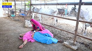 सास को पड़ा दिल का दौरा , पहुंच गईं भगवान के घर  | Saas Bahu | New Rajasthani Comedy 2025