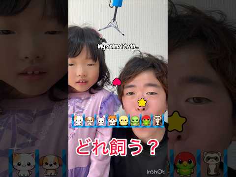 どれ飼う?😳✨ #ペット #可愛い #癒し #動物