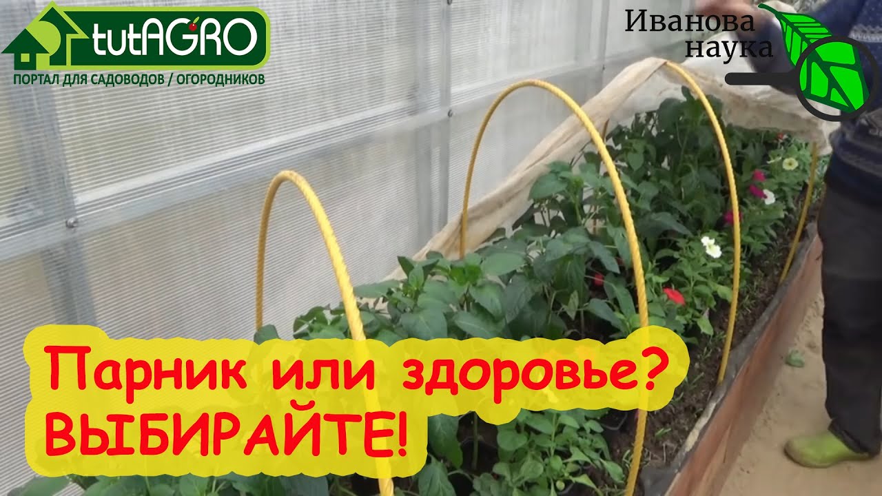 Строите Парник? Cтеклопластик - хуже асбеста! А многие его уже используют в огороде!
