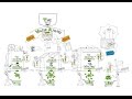 Understanding VAT Concepts and Calculations