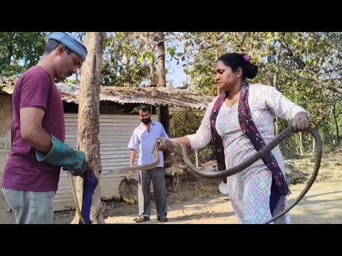 नारी शक्ति का कमाल देखिए दो Snake को एक साथ rescue किया power of women,two snakes rescued at a time