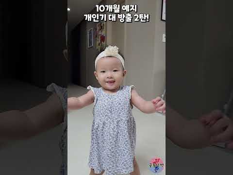 10개월 예지 개인기 대 방출 2탄! #셋째 #예지 #10개월 #개인기 #윤설미
