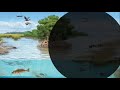 Aquatic Ecosystems and Conservation