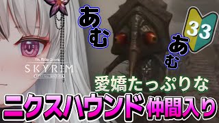 🔴The Elder Scrolls V: Skyrim AE｜🔰＃33｜いっぱいサブクエ進めれた🌙*゜