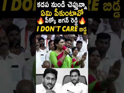 కడప నుంచి చెప్తున్నా ఏం పీక్కుంటావో పీక్కో రా జగన్ #YsSharmila #YsJagan #YTShorts | TC Brother