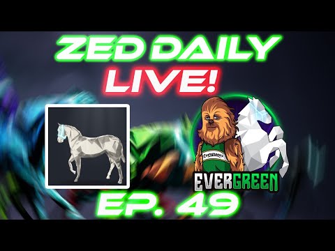 Zed Daily EP. 49 | Bourbon Boys Barn  | Zed Run