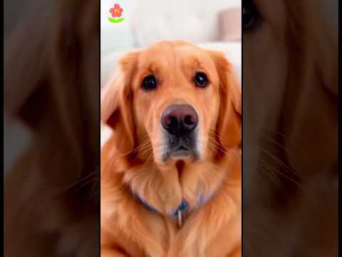 Phillies land All-Star closer Jhoan Duran ahead of MLB trade deadline ๐๐ฅ #JhoanDuran