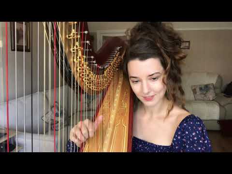 Can You Feel The Love Tonight