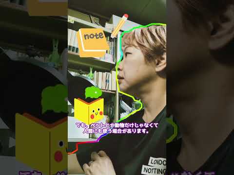 ネイティブキャンプアンバサダー2025年2期生!#shorts