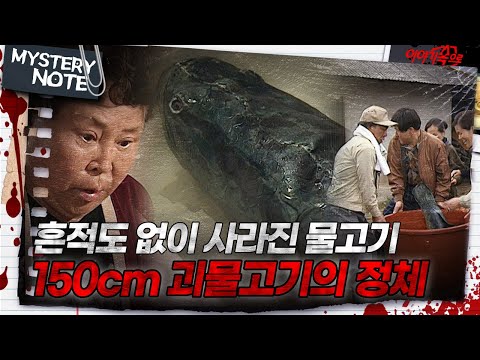 [미스터리 노트] 흔적도 없이 사라진 물고기, 150cm 괴물고기의 정체｜#미스터리노트 MBC980417방송