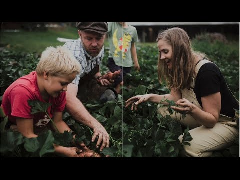 The 10-Acre Homestead | Falling From Success to Survival