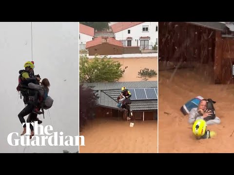 Woman and dog rescued from Valencia home during Spanish floods
