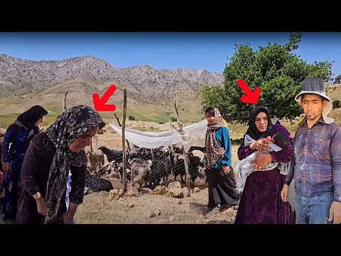 Fariba's sadness and the attempt to find the goat