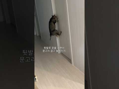 동생 방문 열게 하는 법