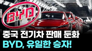 "할인 없으니 안 산다"…중국 전기차 BYD만 웃었다