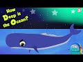 Ocean Zones and Their Characteristics