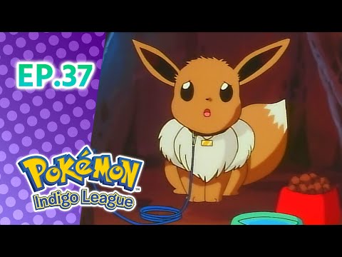 Pokémon: Indigo League எபிசோட் 37: The Battling Eevee Brothers | Pokémon Asia Official (Tamil)