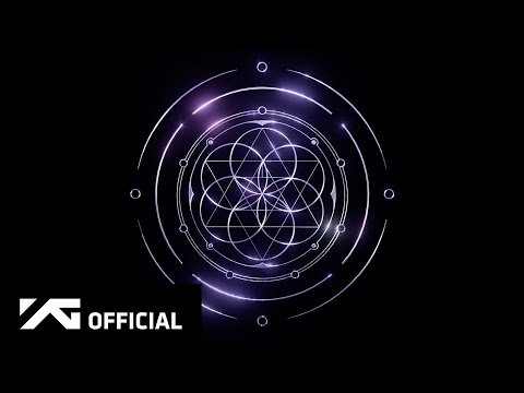 2NE1 - 15th ANNIVERSARY BEST LP MOTION GRAPHIC