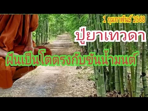 "ปู่ยาเทวดา" ฝันเป็นโต...ตรงกับขันน้ำมนต์ ปู่ศิลา 1 ก.พ 68