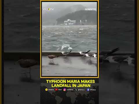 Strong wind, rain sweeps across Japan as Typhoon Maria makes landfall | WION Shorts