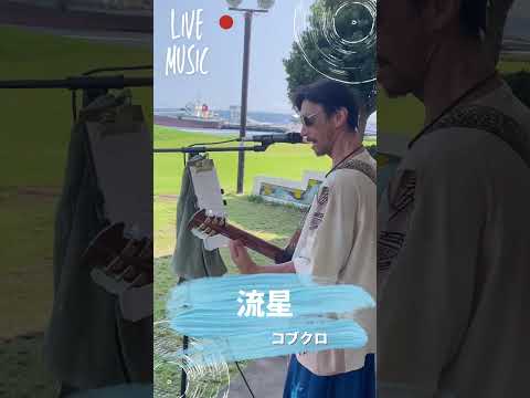 夏の暑い日に…野外練習です🎸#流星 #コブクロ #カバー曲 #弾き語り #大工さんはギタリスト #歌ってみた #ギター #三笠公園 #横須賀