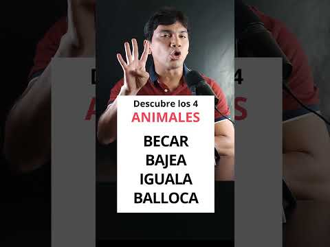 Descubre los anagramas