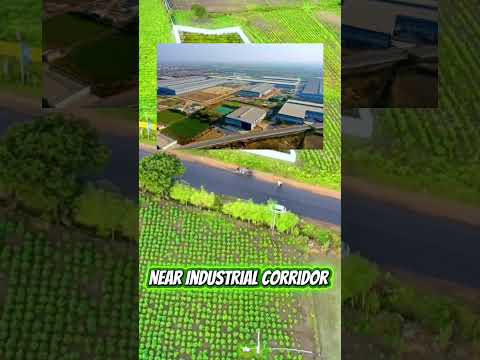 🔥1.75 Acre Industrial Land in Gurgaon’s NEXT Hotspot! | 33 Ft Road Front | ₹2 Cr/Acre | #viral #rich