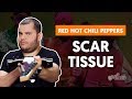 Videoaula Scar Tissue (aula de guitarra)