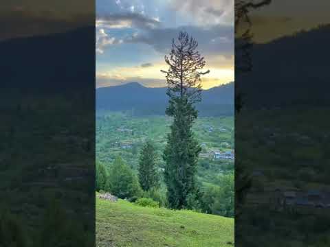Doodhpathri Valley | Kashmir