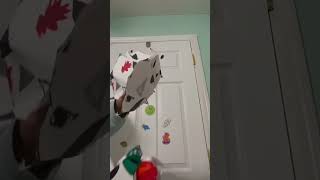 I think I have a lot #dragon #puppet #dragonpuppets #paperdragons