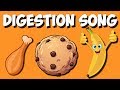 Exploring the Digestive System Through Song