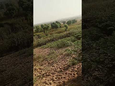 14 अक्तूबर 2025