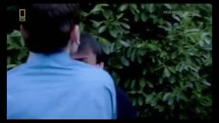 Секунды до... Расследование авиакатастрофы! Столкновение в небе. HD